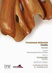 Mostra personale dell'artista francesca antonello fluidity